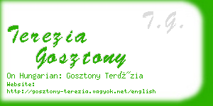 terezia gosztony business card